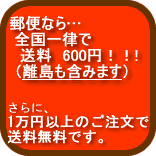 郵便なら全国一律送料600円です。